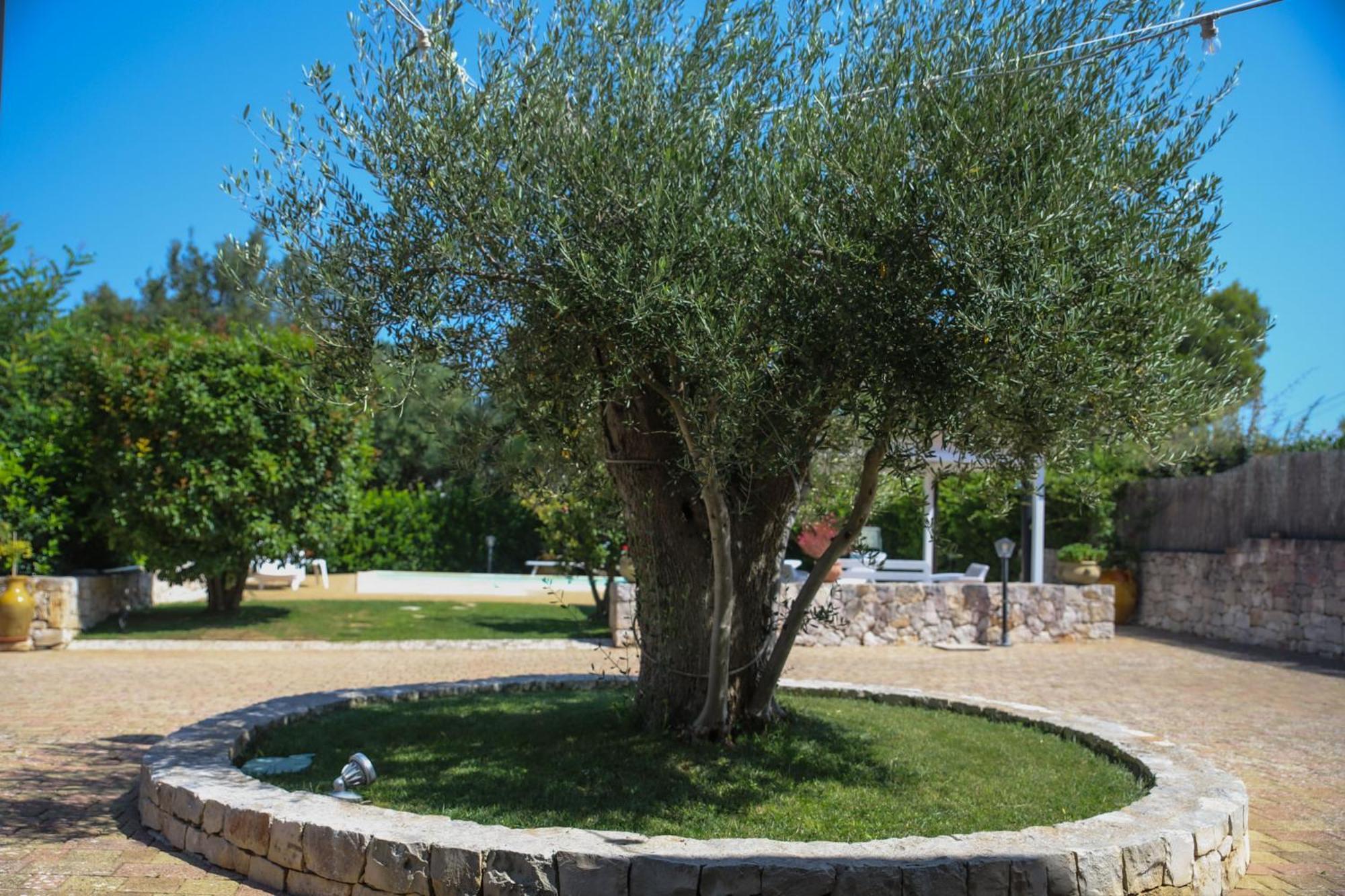 Villa Arisa With Pool Selva Di Fasano Exterior photo