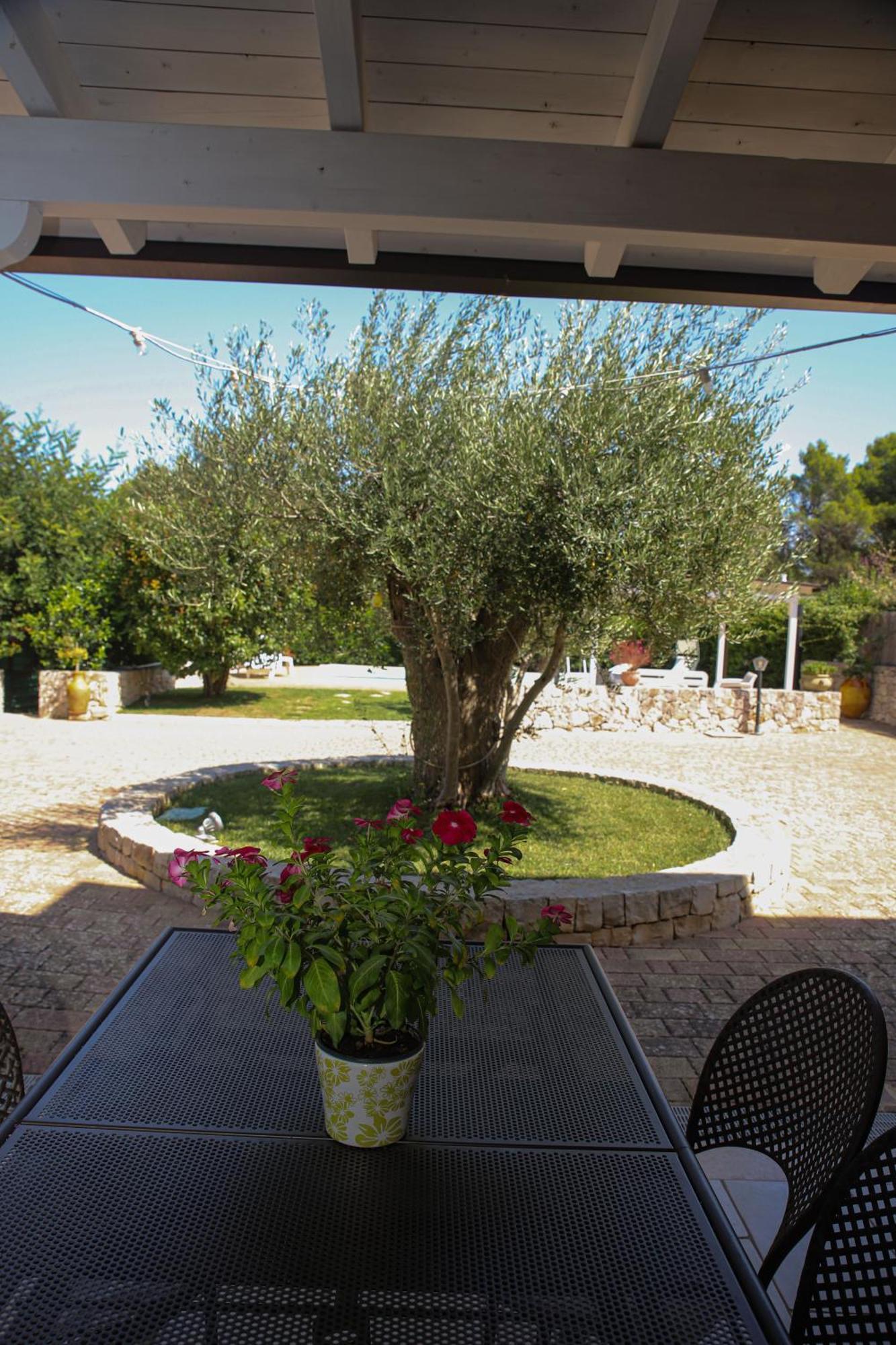 Villa Arisa With Pool Selva Di Fasano Exterior photo